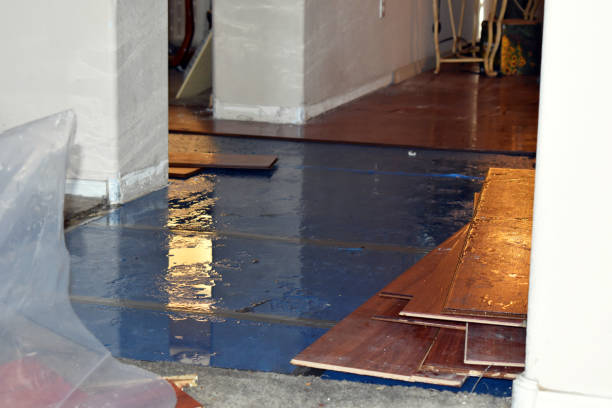 Professional Water Damage technician working in Elmwood, WI